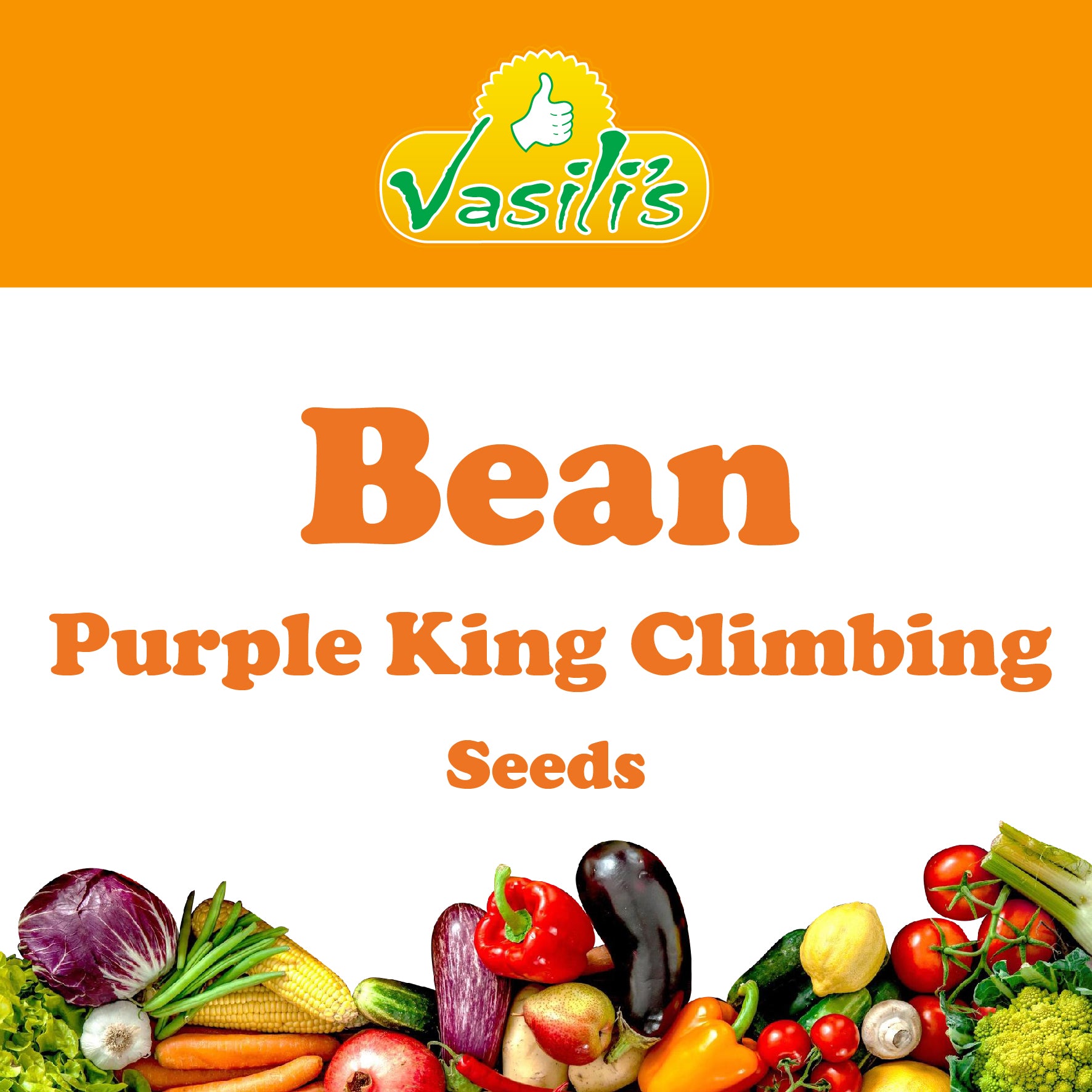 Bean Purple King Climbing Seeds Vasili's Garden
