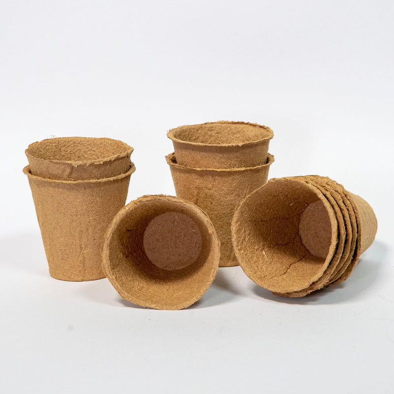 10 Biodegradable Pots 6cm