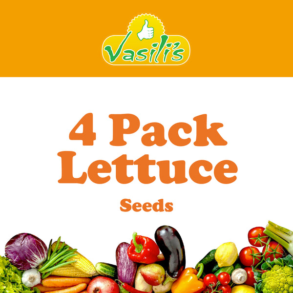 4 Pack Lettuce Seeds