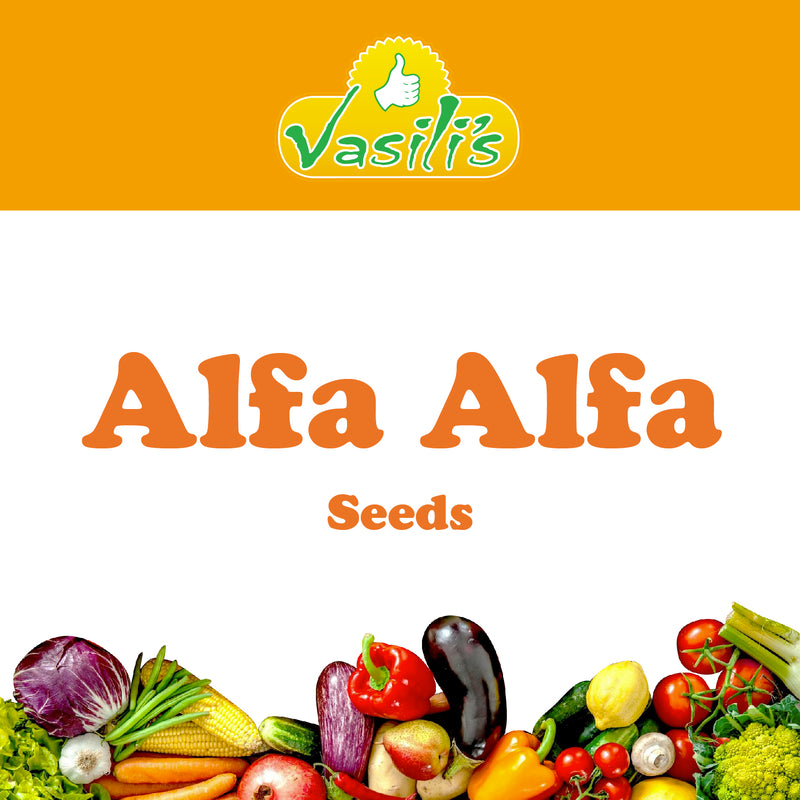 Alfa Alfa Seeds