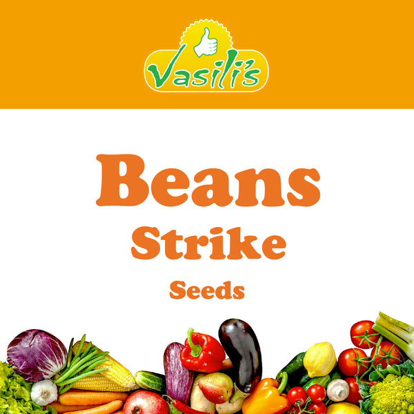 Bean Strike Vegetable Seeds