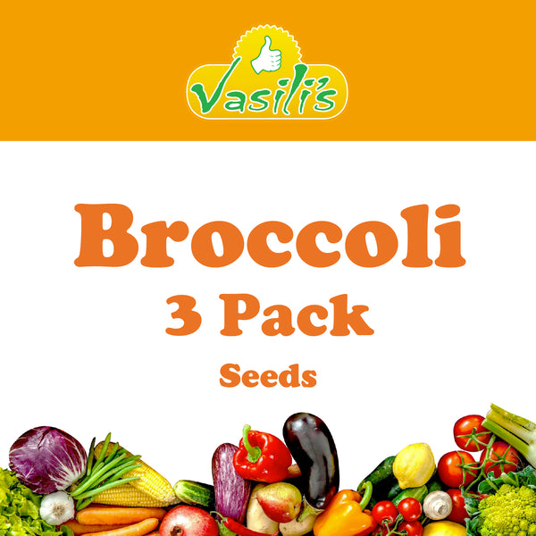 Broccoli 3 Pack Seeds