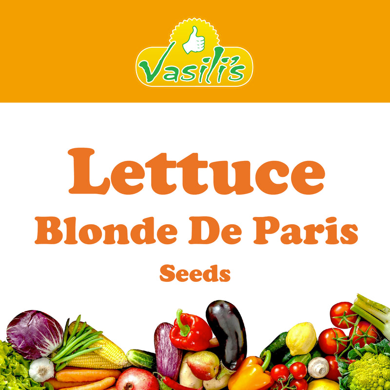 Lettuce Blonde De Paris Seeds