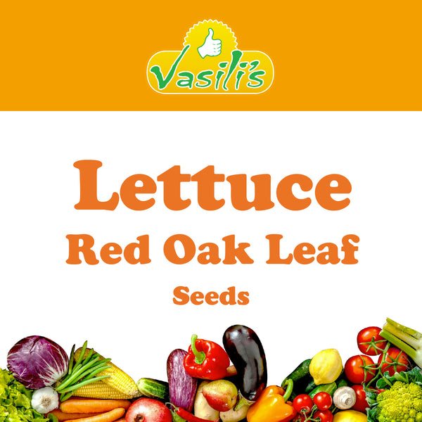 Lettuce Red Oak Leaf Seeds