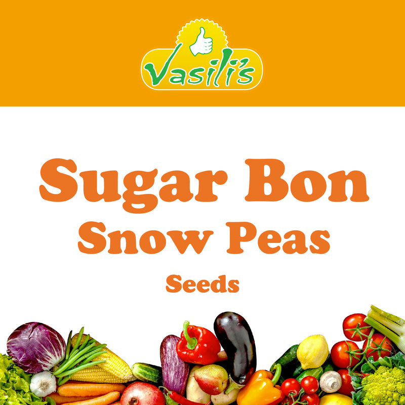 Snow Peas Sugar Bon Seeds