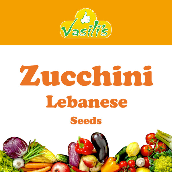 Zucchini Lebanese Seeds