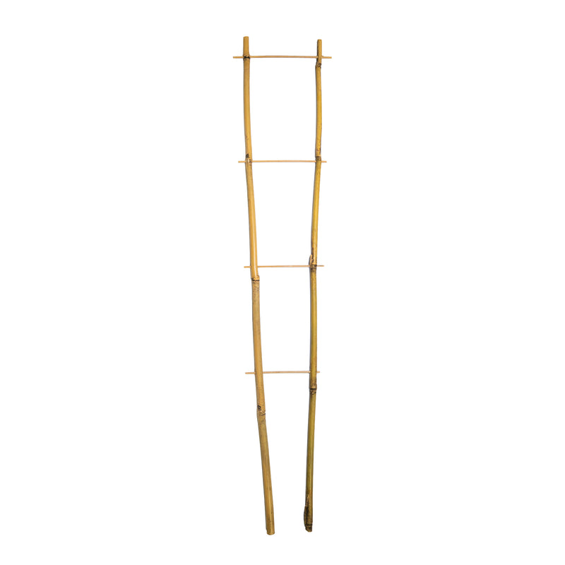 Bamboo Ladder Trellis 85cm