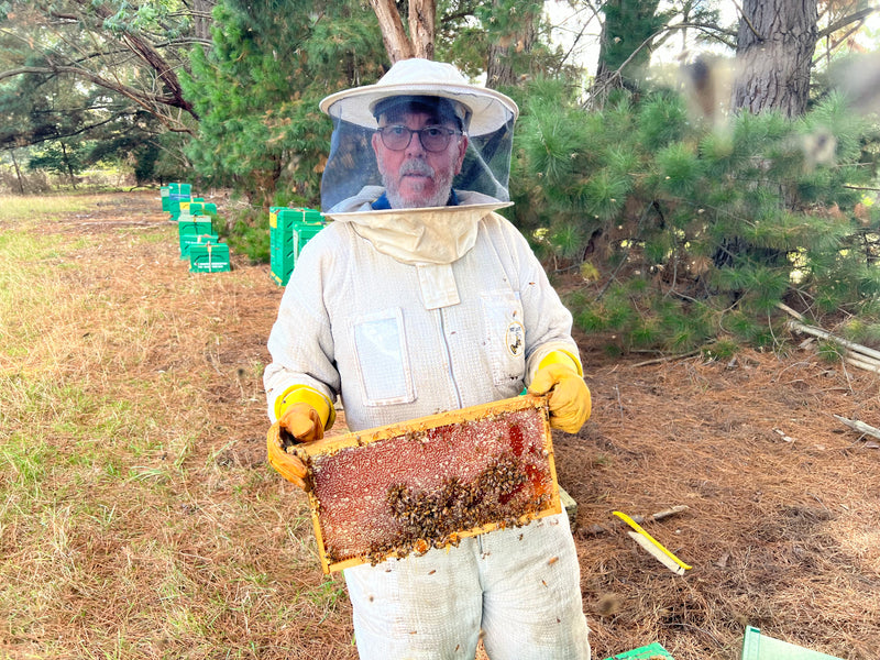 BEEKEEPING WORKSHOP