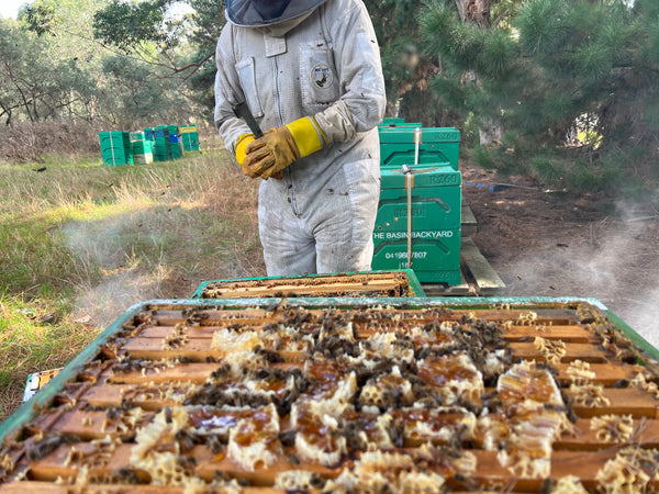 BEEKEEPING WORKSHOP