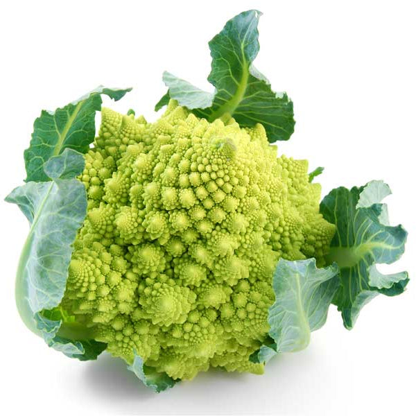Broccoli Romanesco Seeds