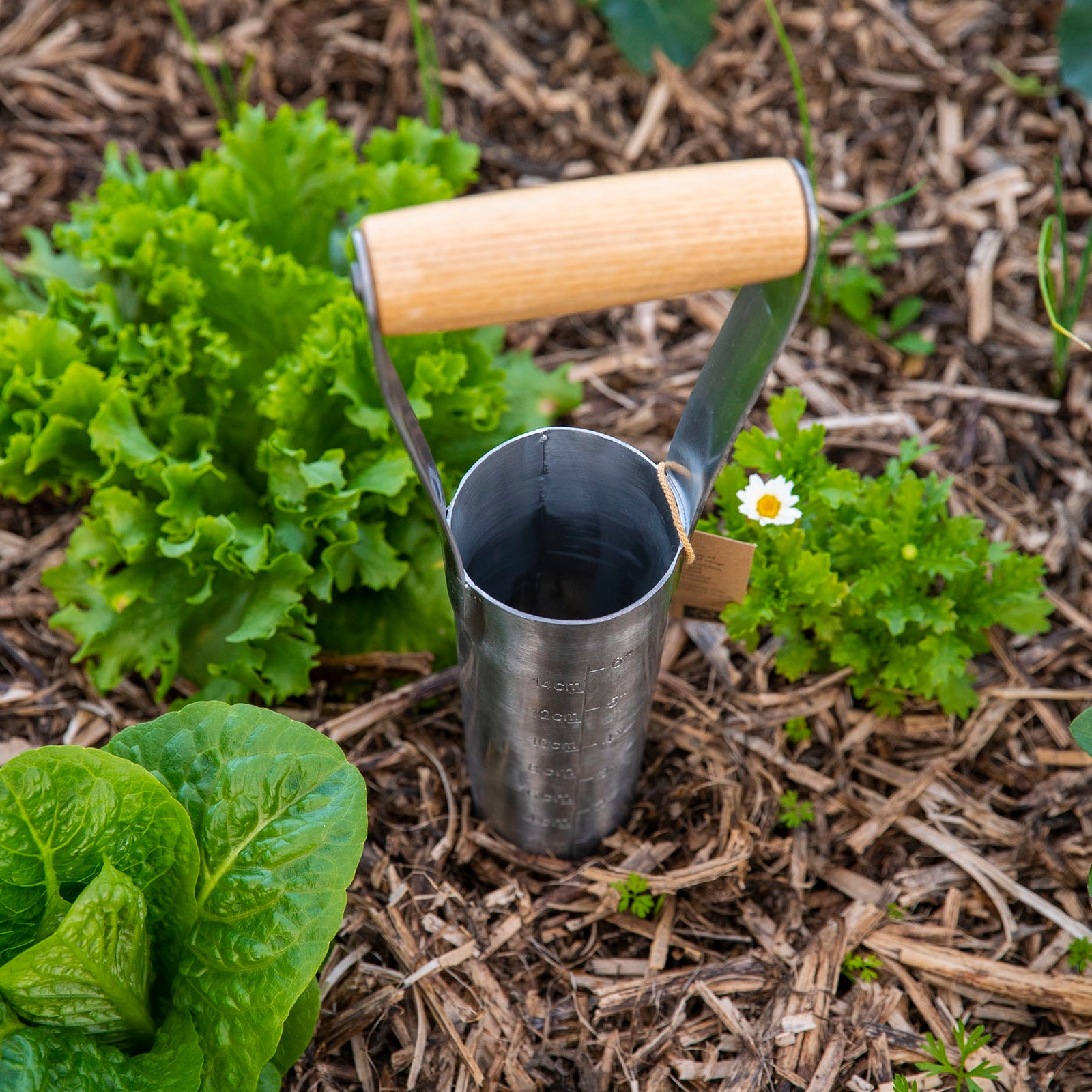 Bulb Planter Large – Vasili's Garden
