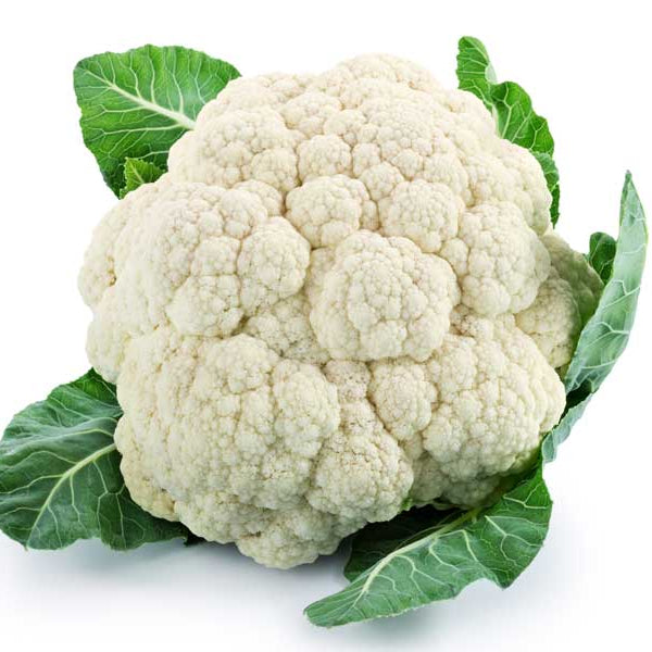 Cauliflower All Year Round Seeds