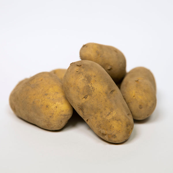 Organic Dutch Cream Potatoes
