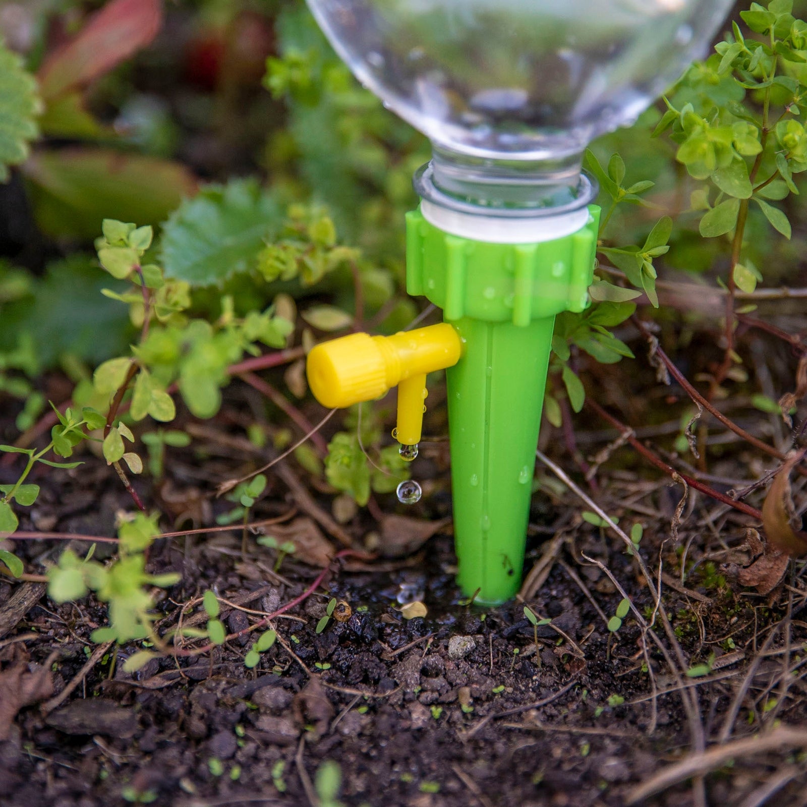 water spikes for pot plants Flower Pot Watering Spikes – Vasili's Garden