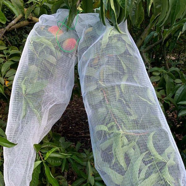 Fruit Protection Bags SLEEVE 30cm x 90cm