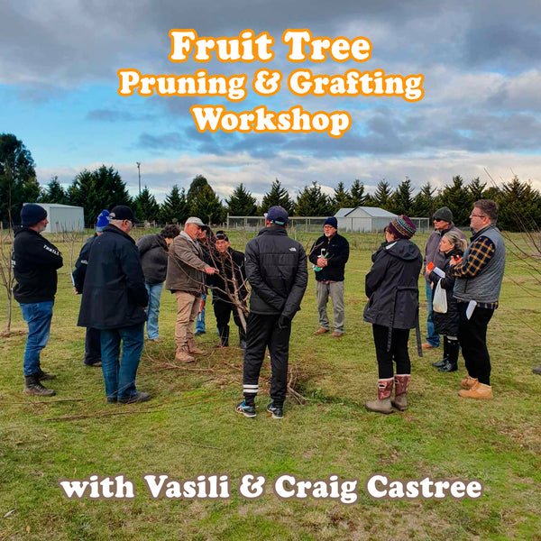 Fruit Tree Pruning & Grafting Workshop