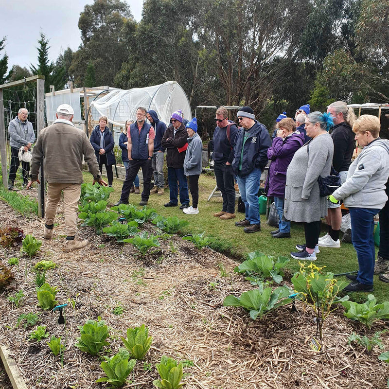 Veggie Garden Workshop With Vasili