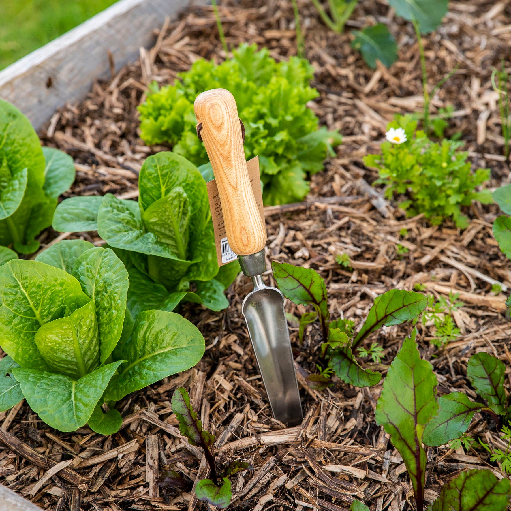 Hand Widger Stainless Steel – Vasili's Garden