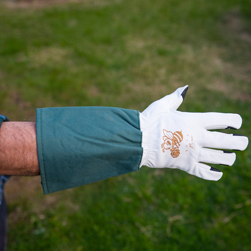 Gloves 'Rose Bee' Ladies Large