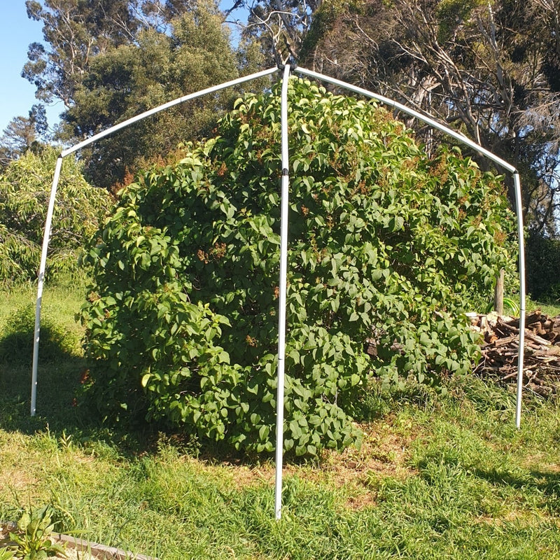 Flexi Garden Frame 2.4 wide x 2.8 high