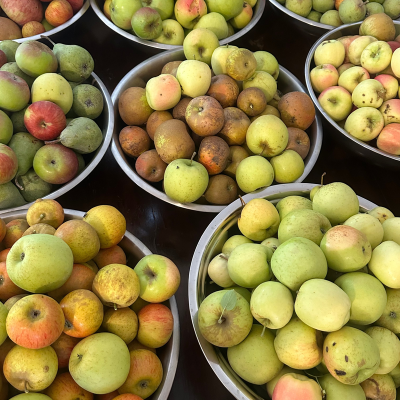 Fresh Organic Apples – Vasili's Garden