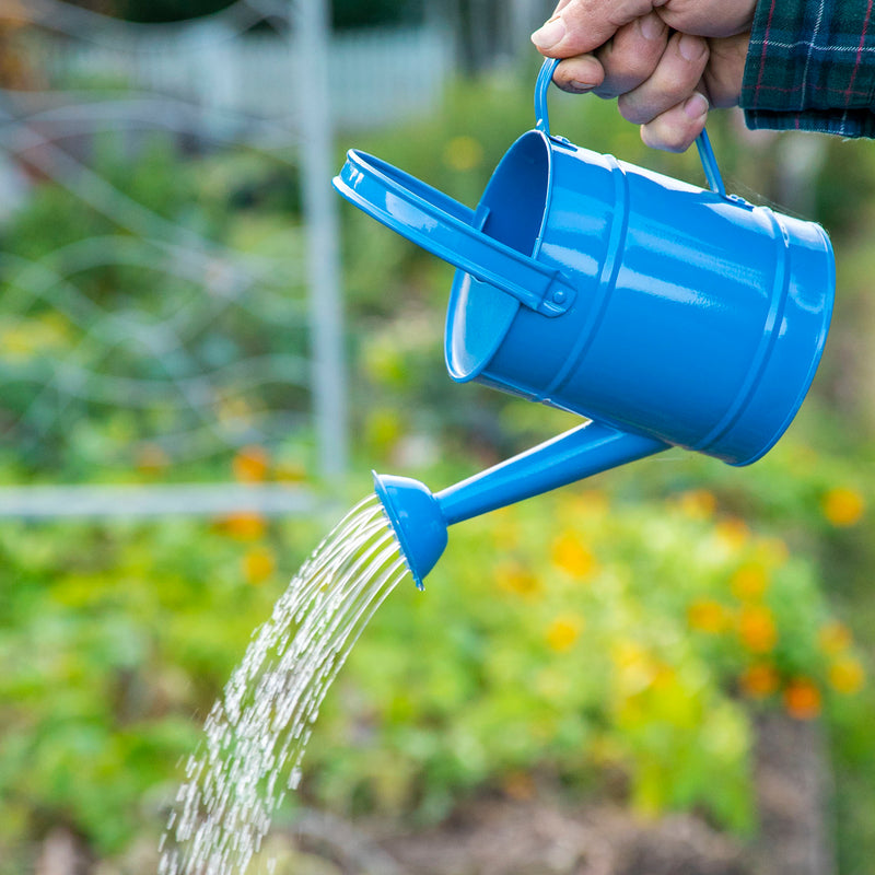 Kids Metal Watering Can - Blue