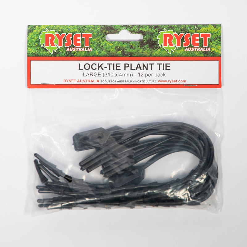 Rubber Plant Lock Ties Large