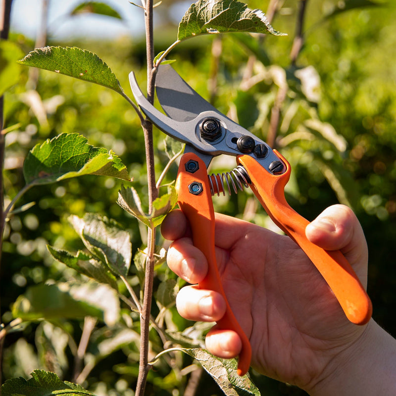 LOWE No11 Standard Bypass Pruner