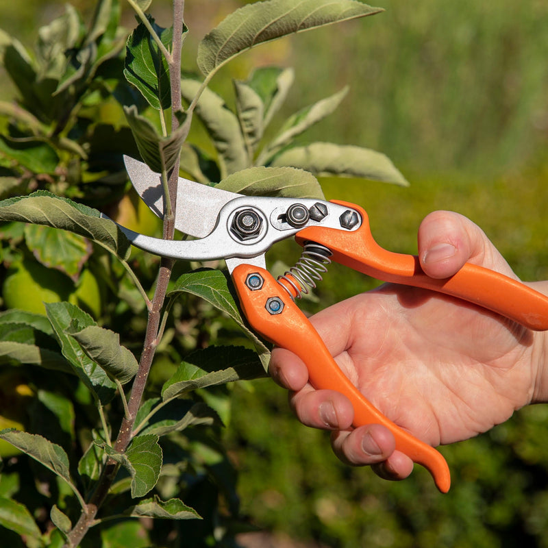 LOWE No11 Standard Bypass Pruner