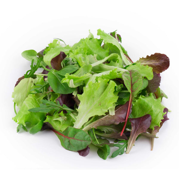 Mesclun Salad Greens Mix Seeds