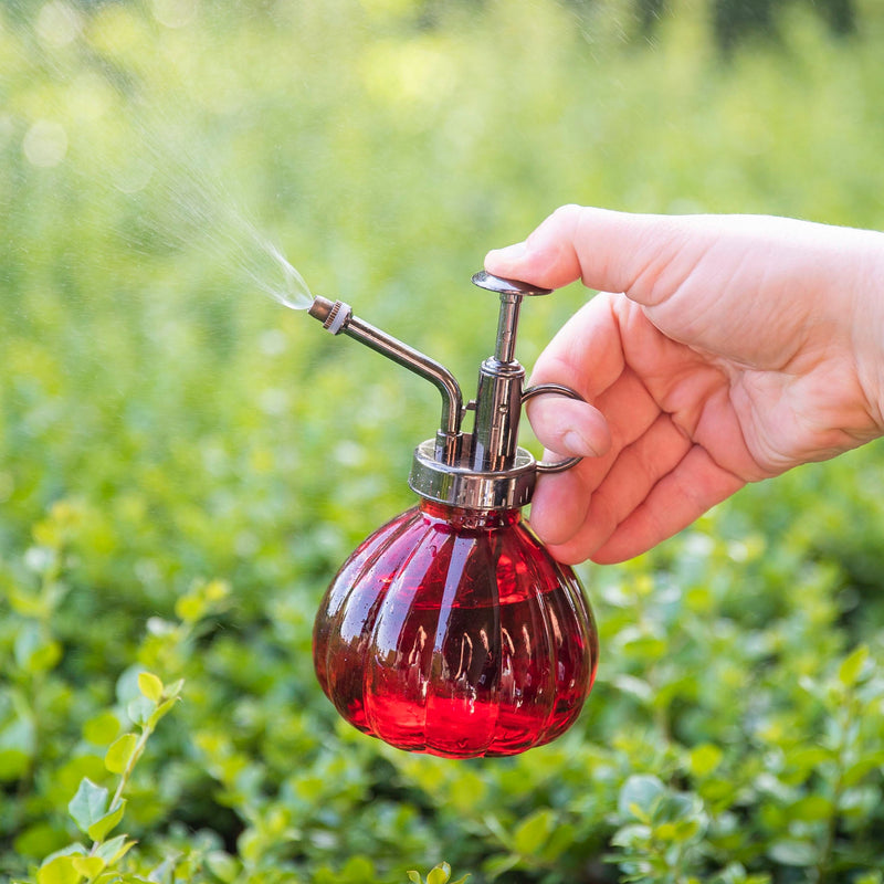 house plant mist sprayer Plant Atomiser Mister
