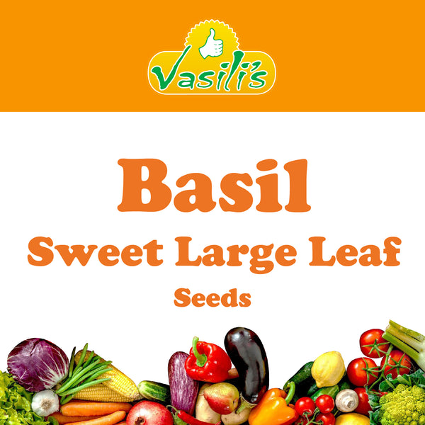 Basil Sweet Large Leaf Seeds