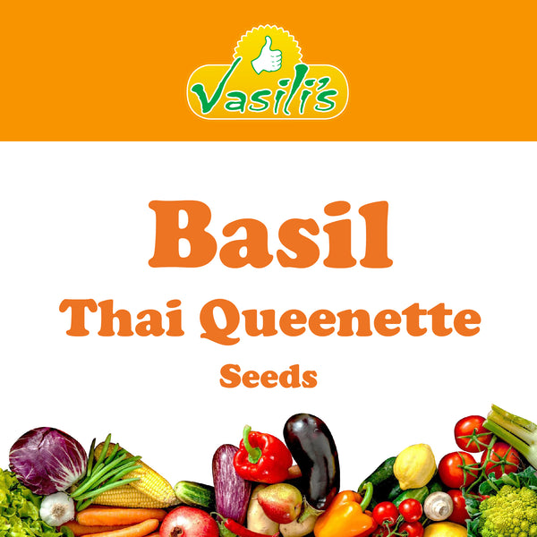Basil Thai Queenette Seeds