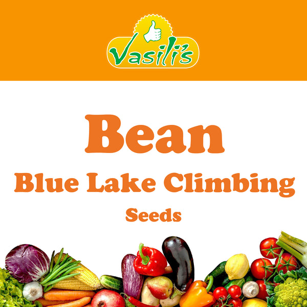 Bean Blue Lake Climbing Seeds