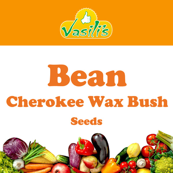 Bean Cherokee Wax Bush Seeds