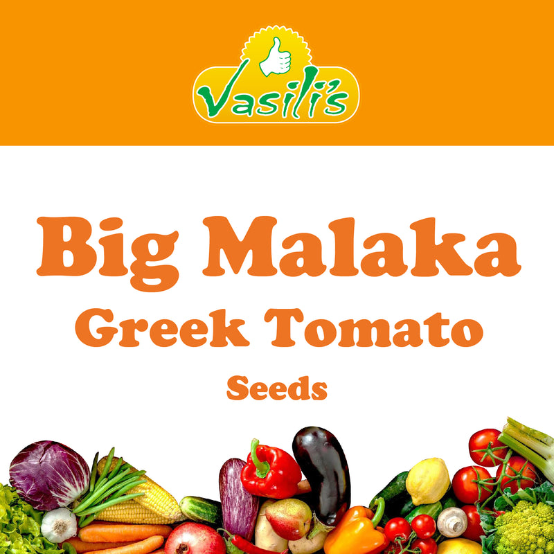 Big Malaka Greek Tomato Seeds