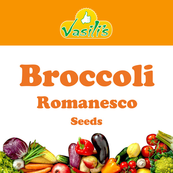 Broccoli Romanesco Seeds