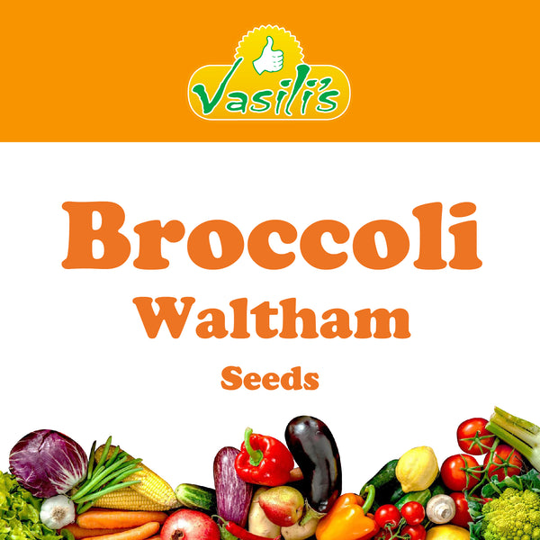 Broccoli Waltham Seeds