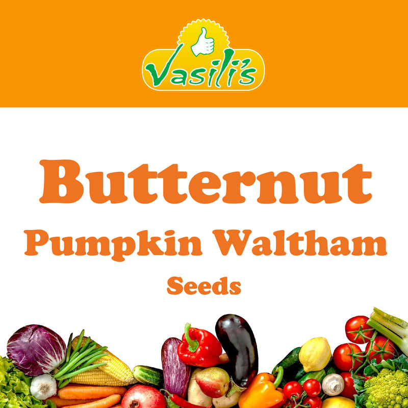 Butternut Pumpkin Waltham Seeds