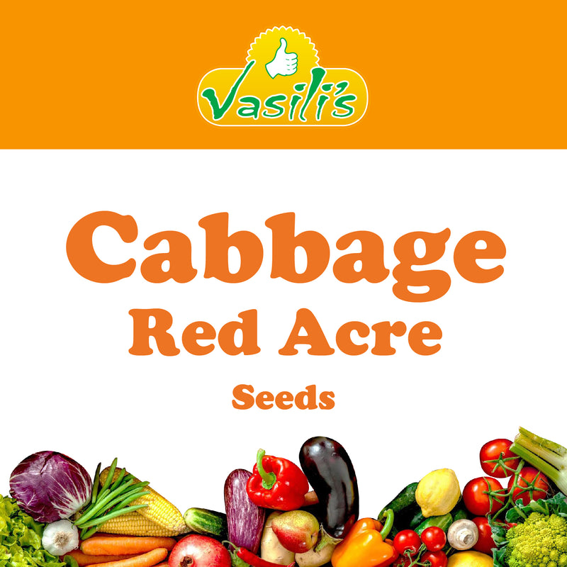 Cabbage Red Acre Seeds