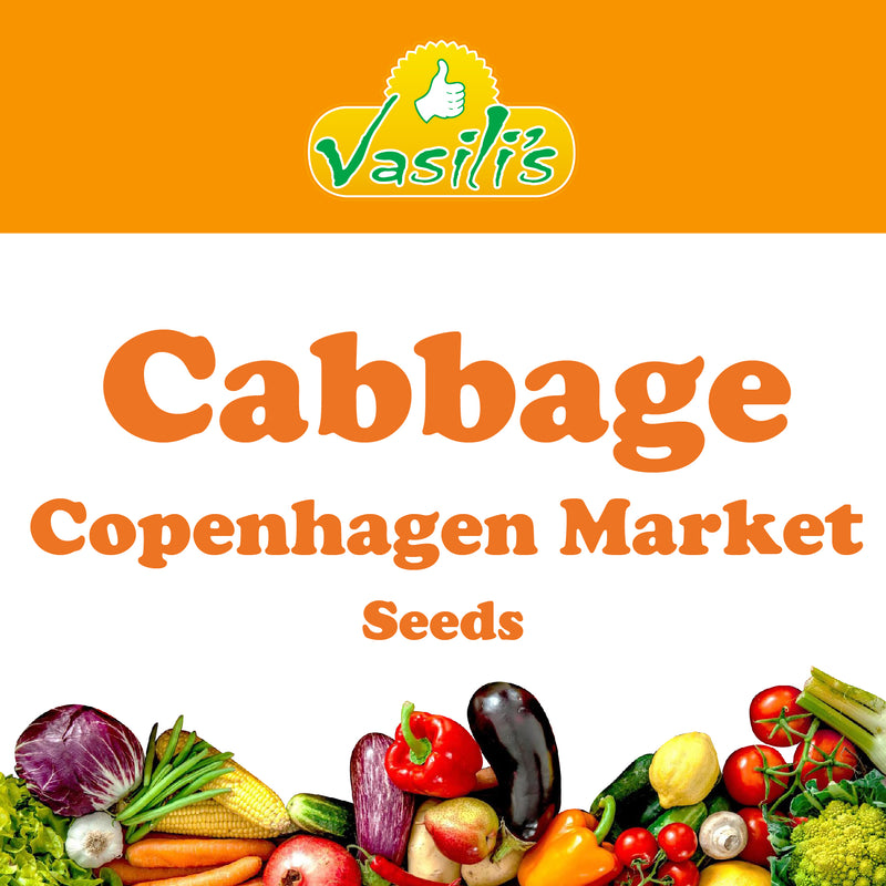 Cabbage Copenhagen Market Seeds