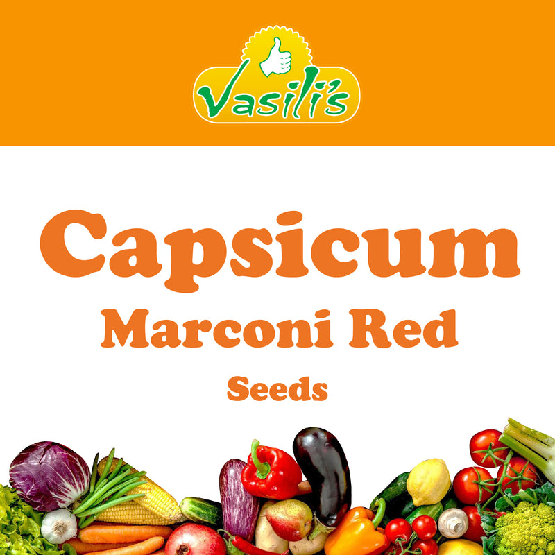 Capsicum Marconi Red Seeds