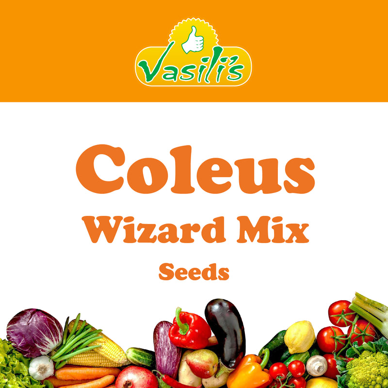 Coleus Wizard Mix Seeds