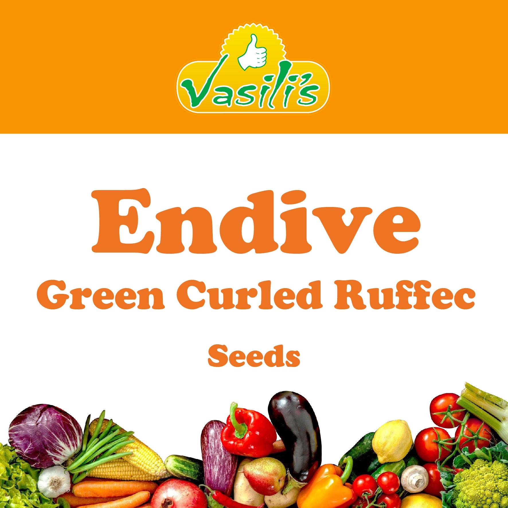 Endive Green Curled Ruffec Seeds – Vasili's Garden