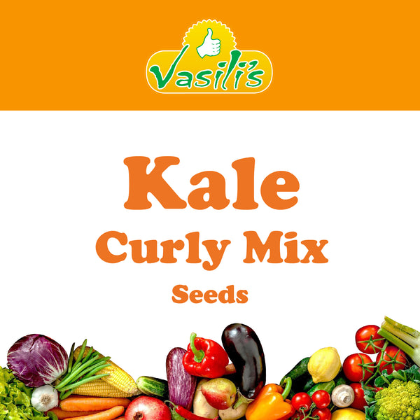 Kale Curly Mix Seeds