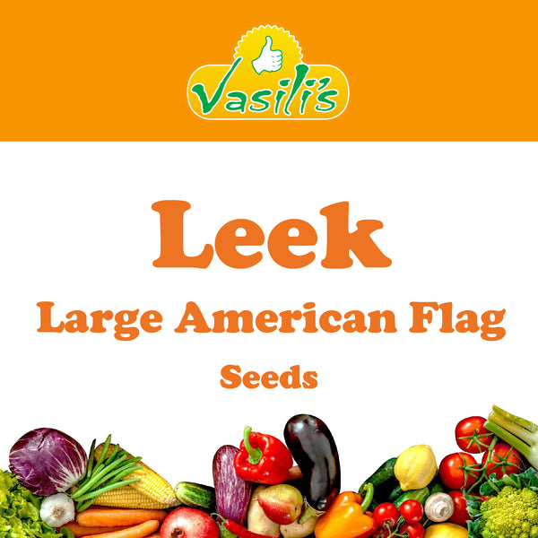 Leek Large American Flag Seeds