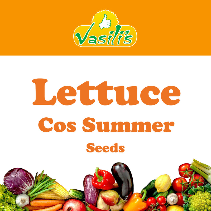 Lettuce Cos Summer Seeds
