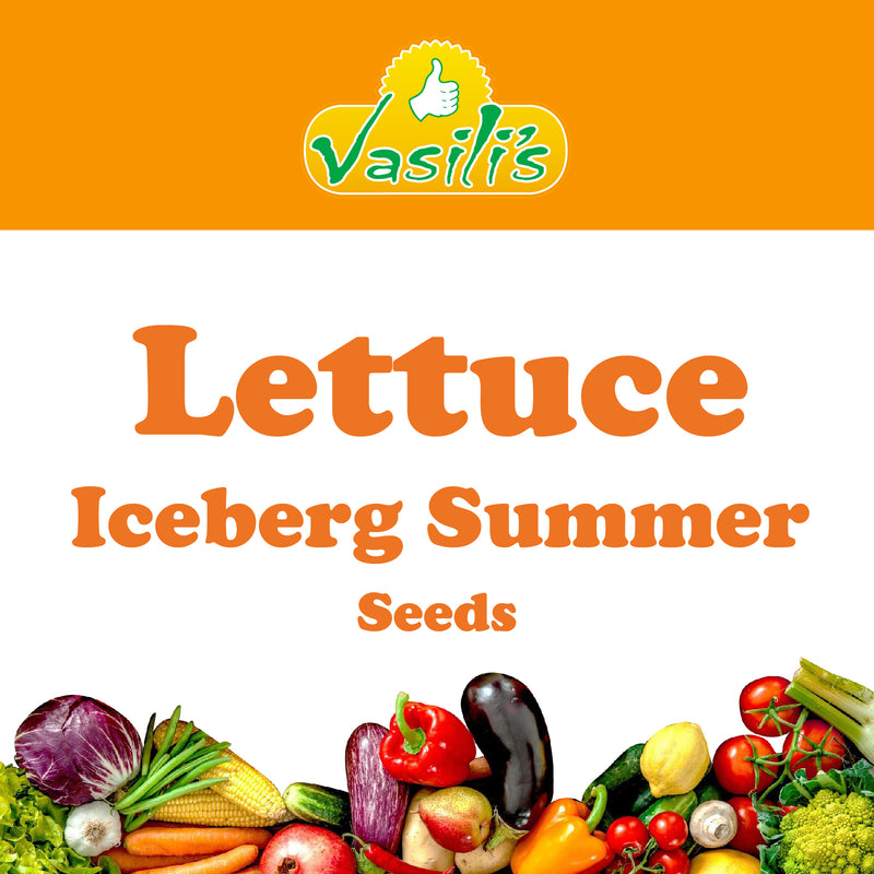 Lettuce Iceberg Summer Seeds