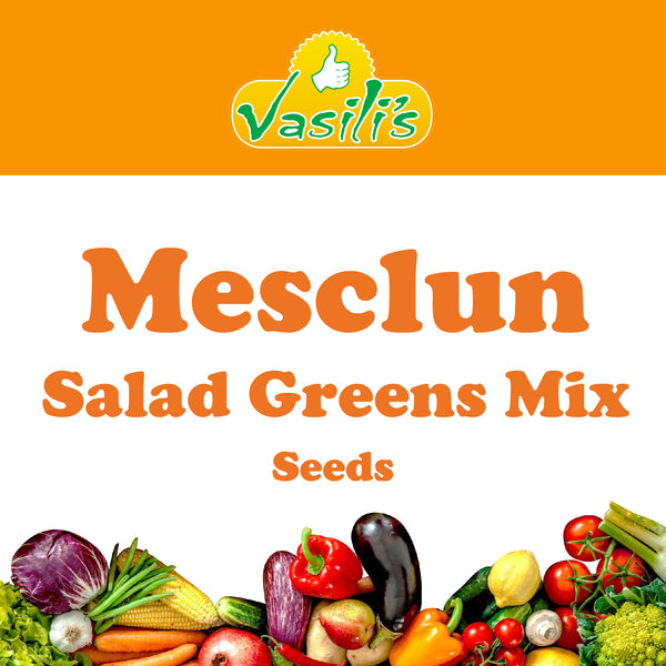 Mesclun Salad Greens Mix Seeds