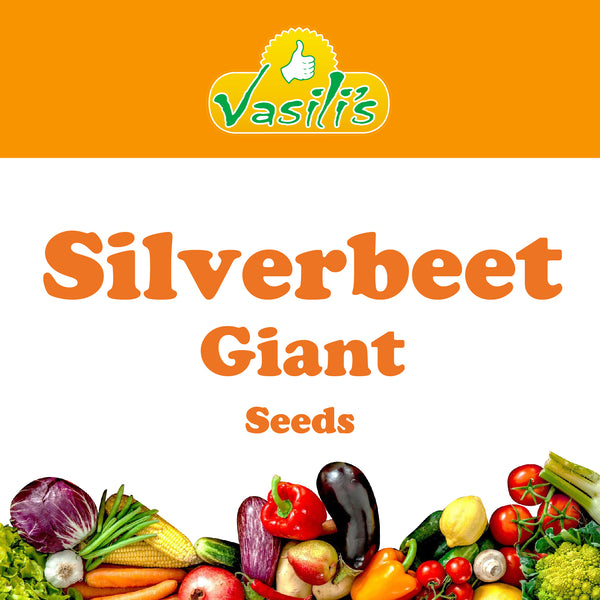 Silverbeet Giant Seeds